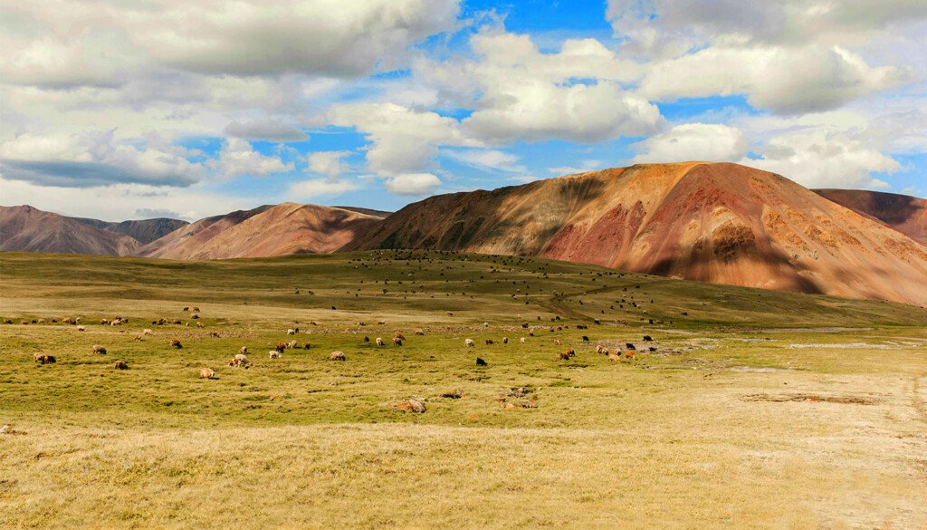 Cuando viajar a Mongolia