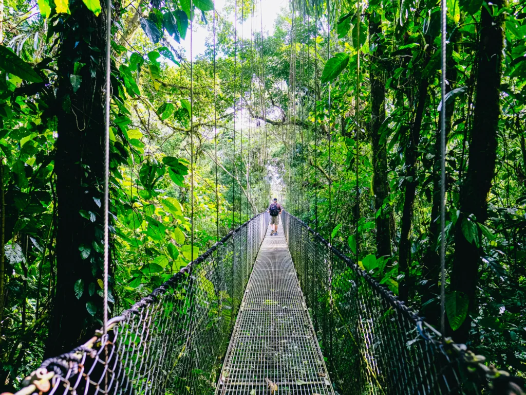 puente en la selva de Costa Rica